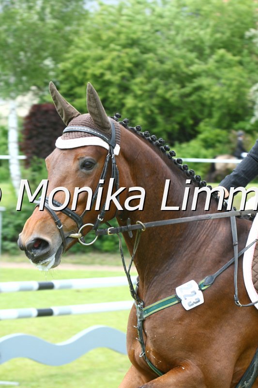 204M1001_Mary Anne_Spring_Ax.JPG